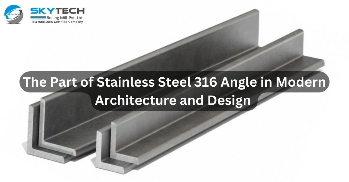 Stainless Steel 316 Angle